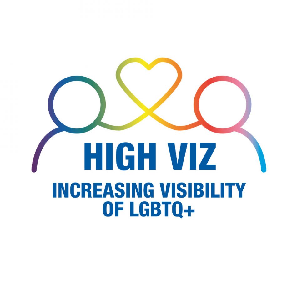 HIGH VIZ LOGO