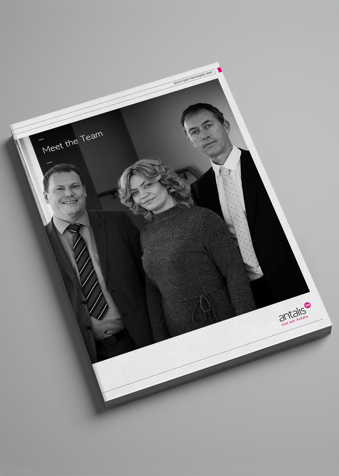 Antalis – Various print and digital projects